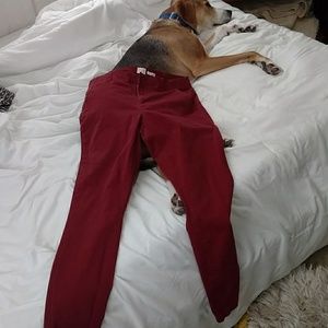 Maroon pants